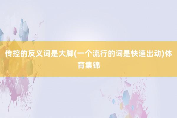 传控的反义词是大脚(一个流行的词是快速出动)体育集锦