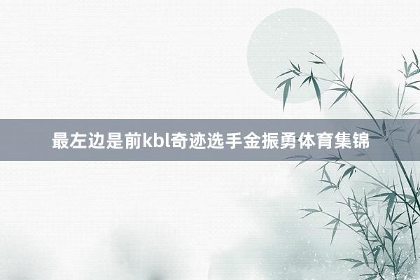 最左边是前kbl奇迹选手金振勇体育集锦
