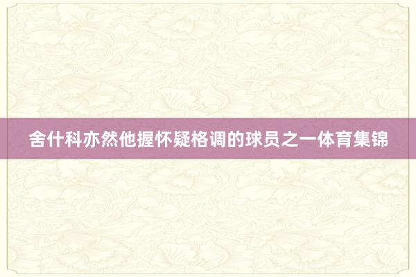 舍什科亦然他握怀疑格调的球员之一体育集锦