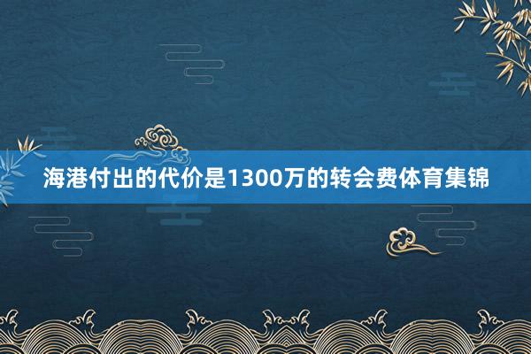 海港付出的代价是1300万的转会费体育集锦
