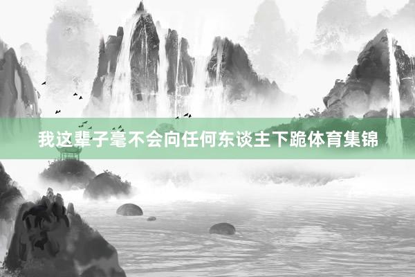 我这辈子毫不会向任何东谈主下跪体育集锦