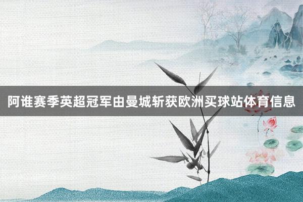阿谁赛季英超冠军由曼城斩获欧洲买球站体育信息