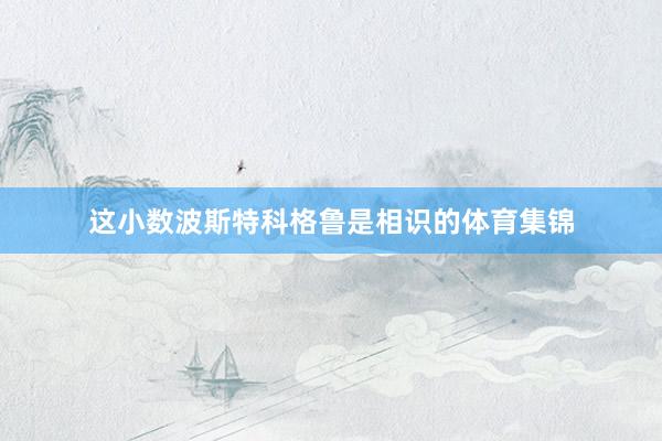 这小数波斯特科格鲁是相识的体育集锦
