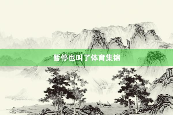 暂停也叫了体育集锦