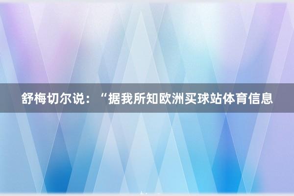 舒梅切尔说：“据我所知欧洲买球站体育信息