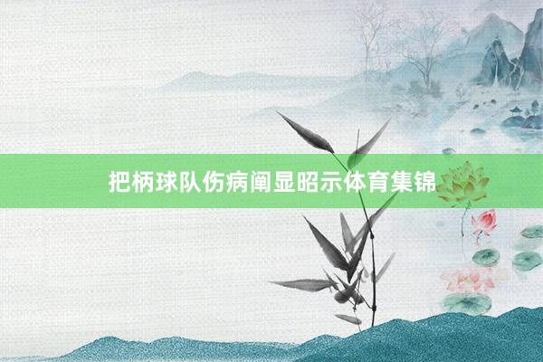 把柄球队伤病阐显昭示体育集锦