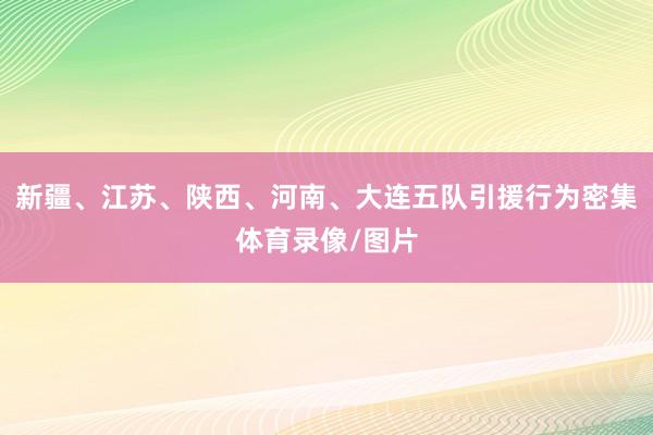 新疆、江苏、陕西、河南、大连五队引援行为密集体育录像/图片