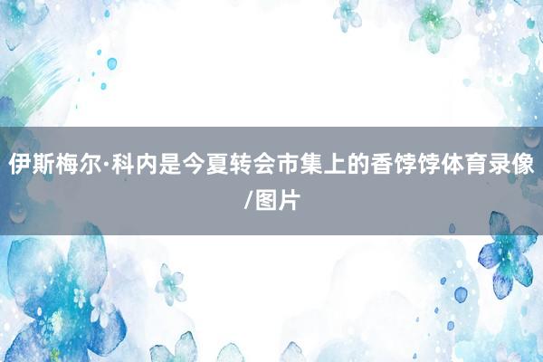 伊斯梅尔·科内是今夏转会市集上的香饽饽体育录像/图片