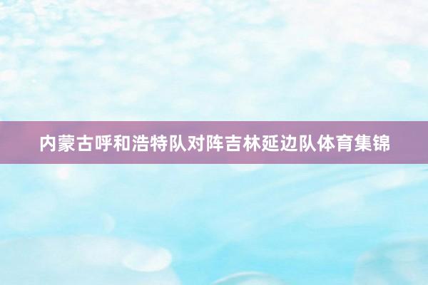 内蒙古呼和浩特队对阵吉林延边队体育集锦