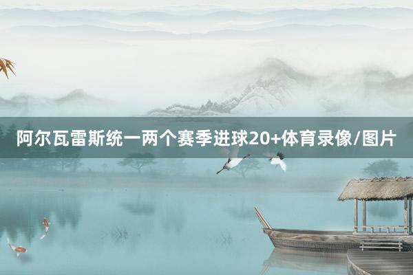 阿尔瓦雷斯统一两个赛季进球20+体育录像/图片