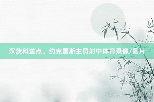 汉茨科送点、约克雷斯主罚射中体育录像/图片