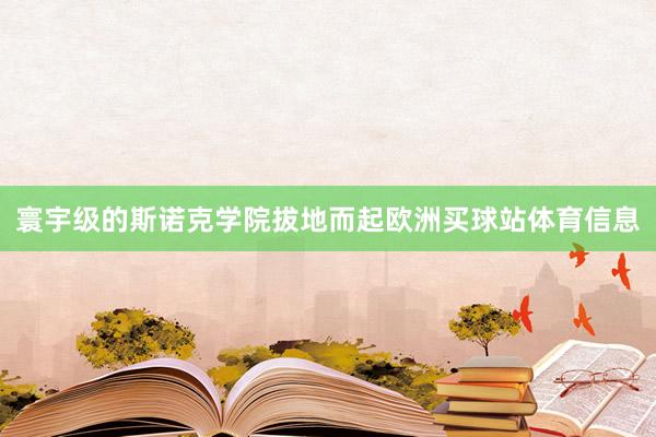 寰宇级的斯诺克学院拔地而起欧洲买球站体育信息