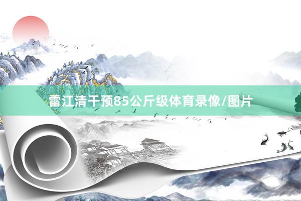 雷江清干预85公斤级体育录像/图片