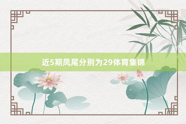近5期凤尾分别为29体育集锦