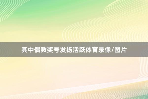 其中偶数奖号发扬活跃体育录像/图片