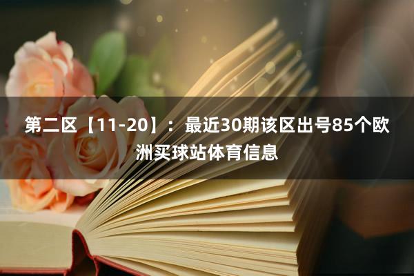 第二区【11-20】：最近30期该区出号85个欧洲买球站体育信息