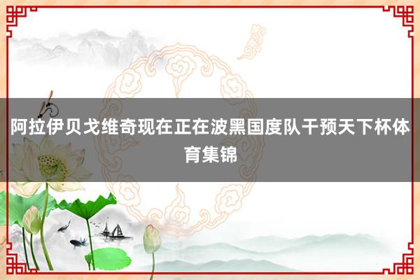 阿拉伊贝戈维奇现在正在波黑国度队干预天下杯体育集锦